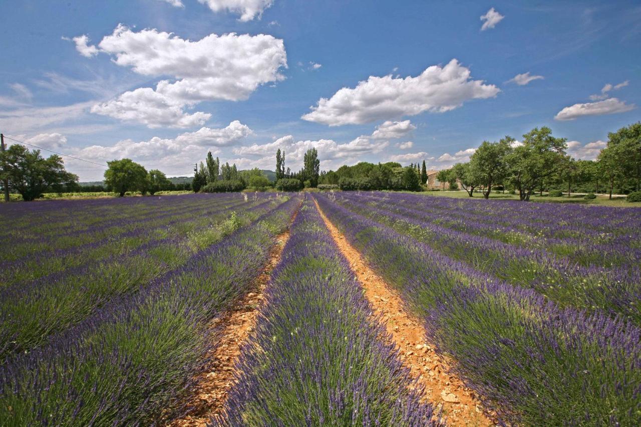 B&B Dans Mas En Pierres Robion en Luberon Exteriör bild